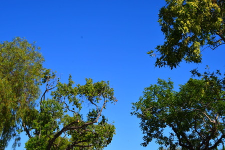 Enlarge photo 36