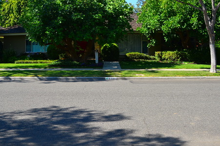 Enlarge photo 40