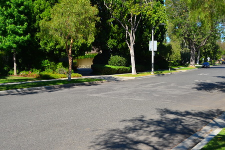 Enlarge photo 41