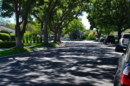 Enlarge photo 29