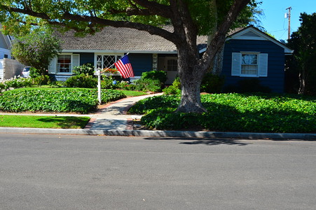 Enlarge photo 43