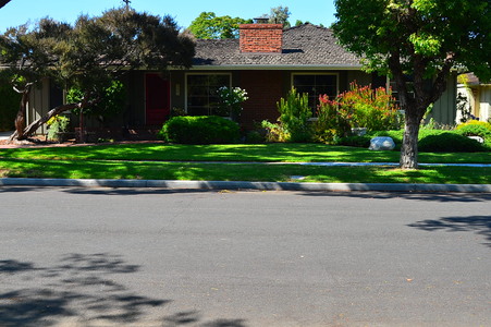 Enlarge photo 49