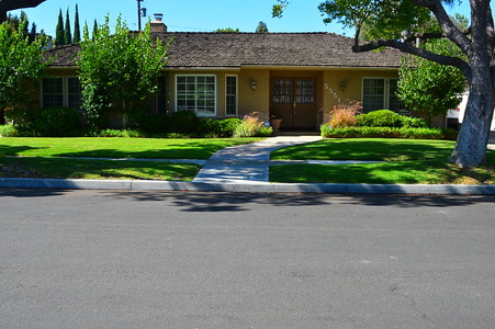 Enlarge photo 53