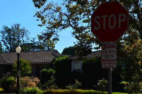 Enlarge photo 15