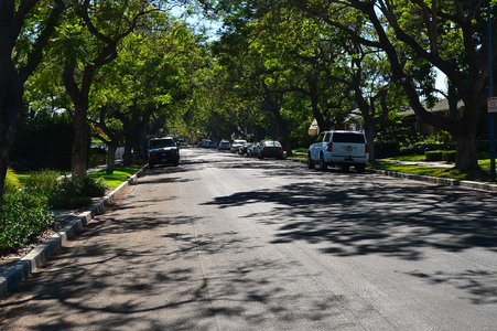 Enlarge photo 37