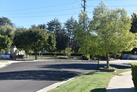 Enlarge photo 36