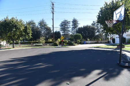 Enlarge photo 37