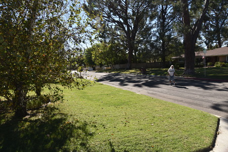 Enlarge photo 31