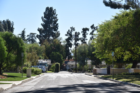 Enlarge photo 35