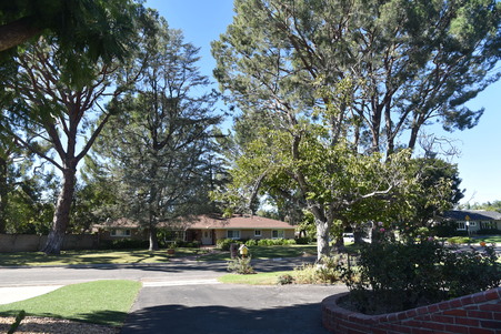 Enlarge photo 38
