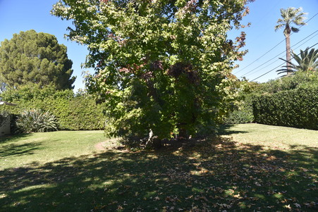 Enlarge photo 47