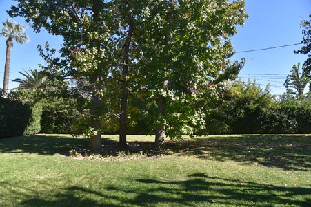 Enlarge photo 55
