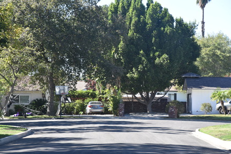Enlarge photo 85