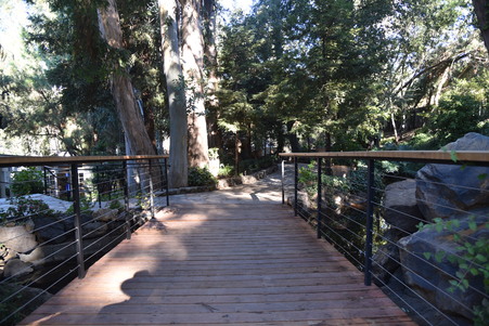 Enlarge photo 13