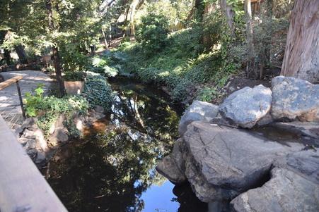 Enlarge photo 15