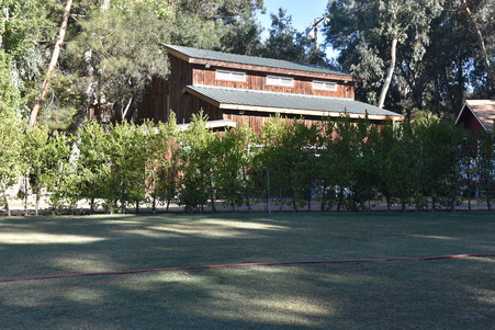 Enlarge photo 23