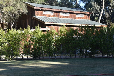 Enlarge photo 24