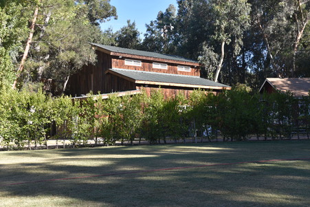 Enlarge photo 26