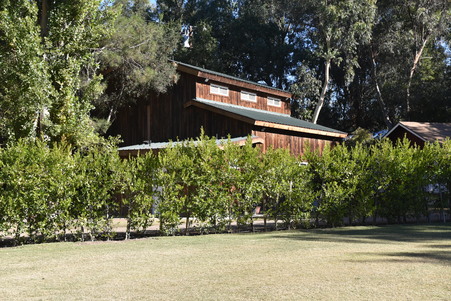Enlarge photo 31