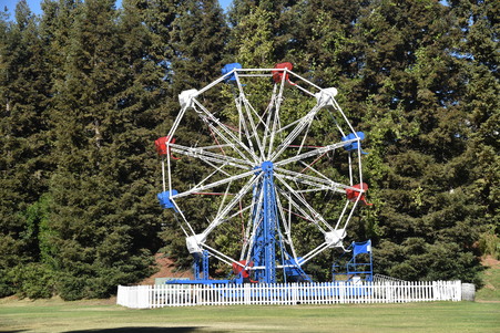 Enlarge photo 45