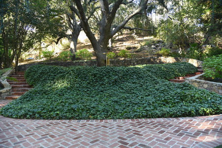 Enlarge photo 51