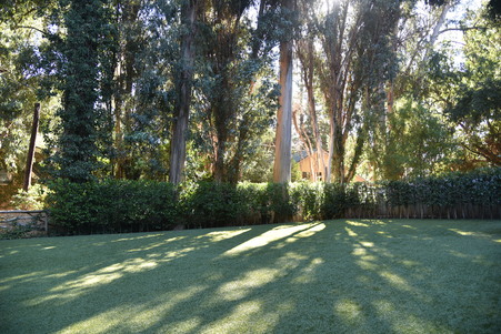 Enlarge photo 57