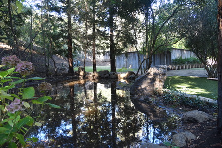 Enlarge photo 58