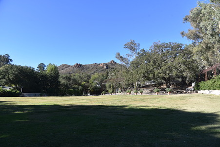Enlarge photo 63