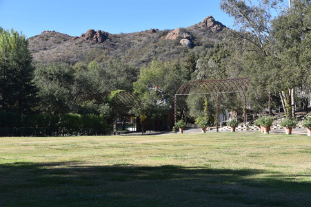 Enlarge photo 64