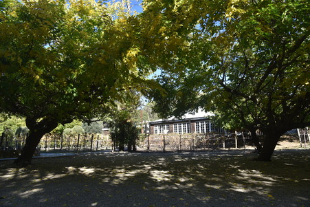Enlarge photo 69