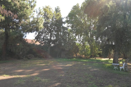 Enlarge photo 7
