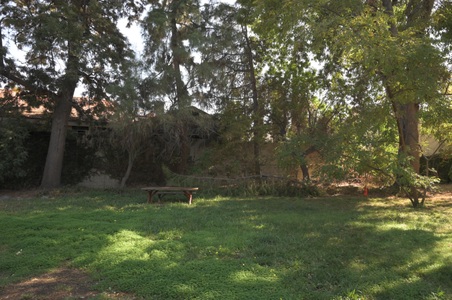 Enlarge photo 15