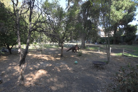 Enlarge photo 18