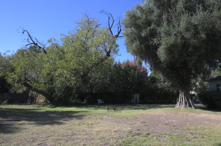 Enlarge photo 22