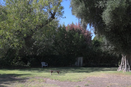 Enlarge photo 24