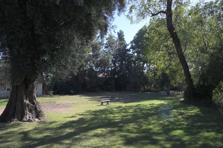 Enlarge photo 26