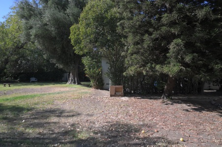 Enlarge photo 35