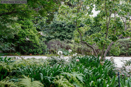 Enlarge photo 62