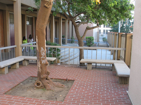 Enlarge photo 5