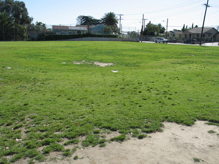 Belvedere middle school