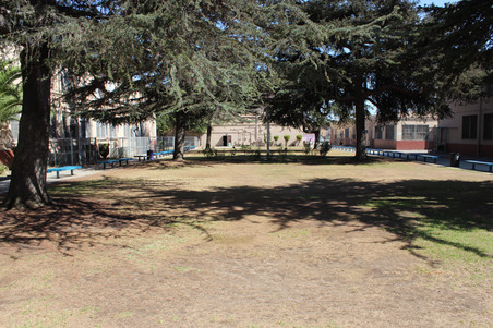 Enlarge photo 8