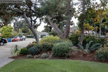 Enlarge photo 56