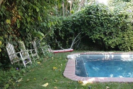 Enlarge photo 37