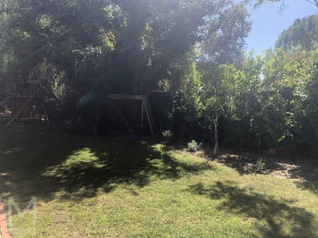 Enlarge photo 33