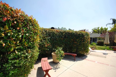 Enlarge photo 52