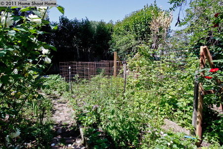 Enlarge photo 21