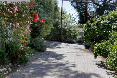 Enlarge photo 36