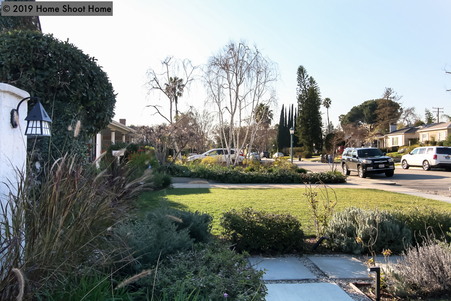 Enlarge photo 54
