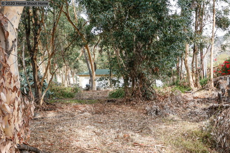 Enlarge photo 44