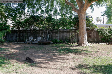 Enlarge photo 45